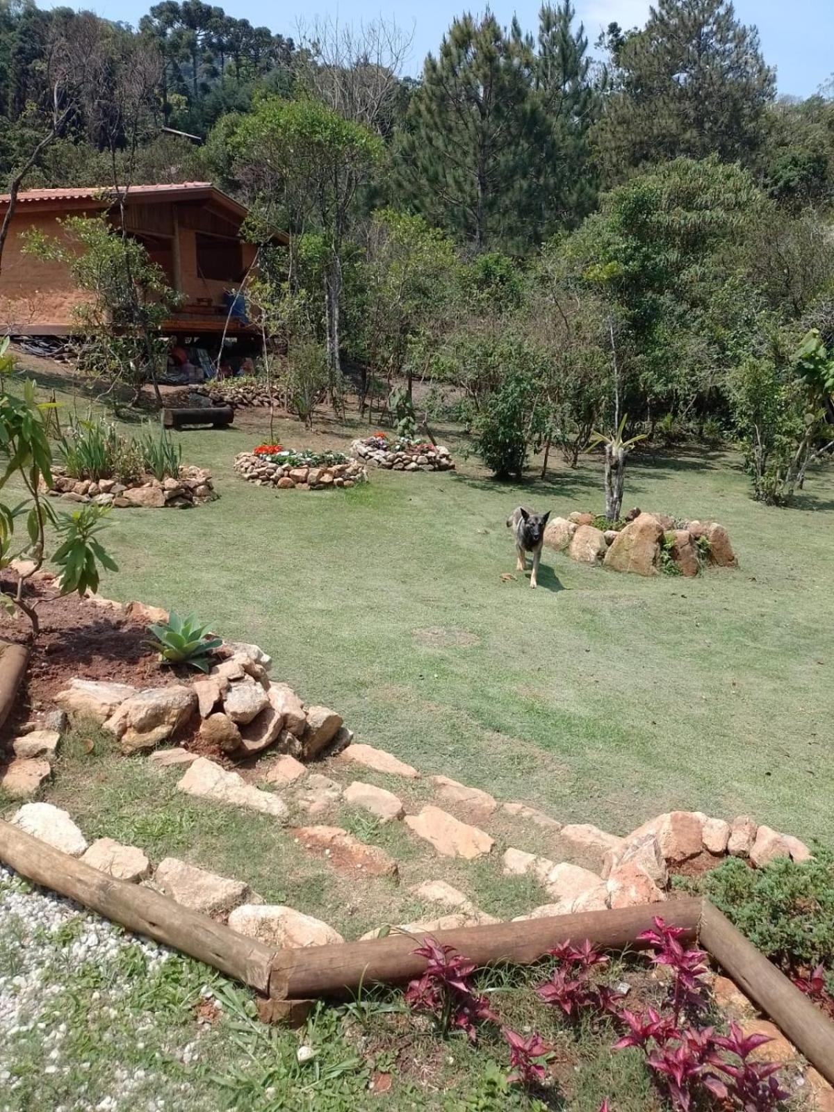 Chales Luar Do Pico Santo Antônio do Pinhal Exterior foto